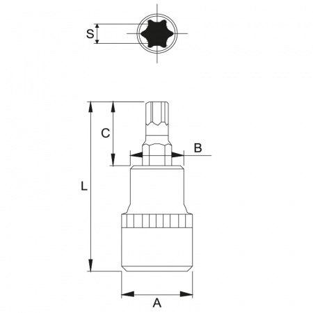JTC Бита-головка 3/8" TORXT15х48 мм 